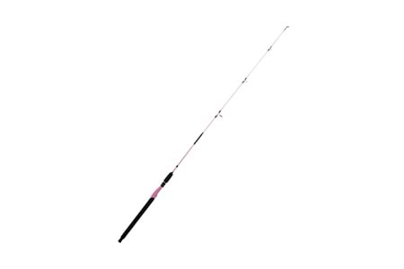 Alesta Niagara Pink X5716 İki Parça 30-100 gr Dolgu Tekne Kamışı 150 cm