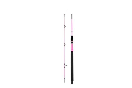 Alesta Niagara Pink X5716 İki Parça 30-100 gr Dolgu Tekne Kamışı 150 cm